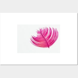 Pink Metallic Single Feather Posters and Art